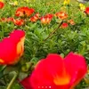 shermuhammadsherm92