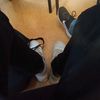 briedis_mb
