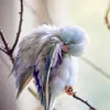 ksenia___1111