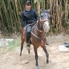 faraon_rey