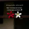 mylana.78
