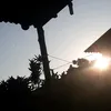 jefersonrobert014