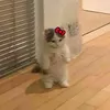 dyzvhwjnkfi2