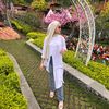 iimel_0