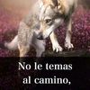 yahirpablo989