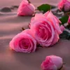 roswithasteen