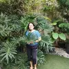 violytierra
