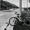 solo_52677