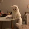 طيبَـة | 𝐓𝐞𝐛𝐚