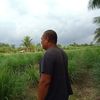 shafieeismail