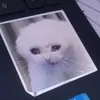 khy110_ydkj