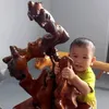 nhincaideo04