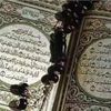 nahedmohmed461