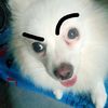 abhisitnilchot