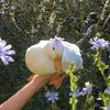 urmine_110
