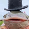 sillyman745