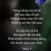 nng.dng124