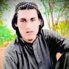 fekarmandwazir2