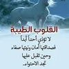 dyy3657j7n8u