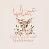 lenses_baraa