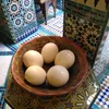 salahalmotkan