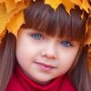 sunflower1_sunflower1
