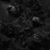 black_boy_251