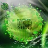 Eco SHINE
