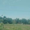 dylts5fc43hk