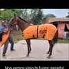 user26386019121424