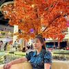 nguyn.thy5557