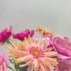 amnaaz_