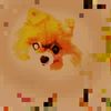 javnn_art