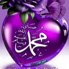 mervat.ali09