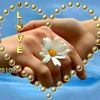 user788560280842