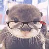 jhamjam_