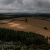 wood_1409