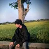 huytran20290