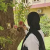 zahr3.7