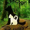 amoravidaanimal