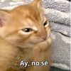 jennyveronicahern8