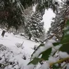 itsnotimportant0815