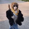 drippymonke12345