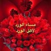 alymhmed1