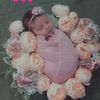 ward_modl