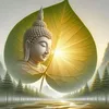 chaucham989