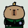 andy_r511