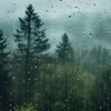 midnight_rain256