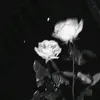khalillll13