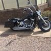 randyresnick341
